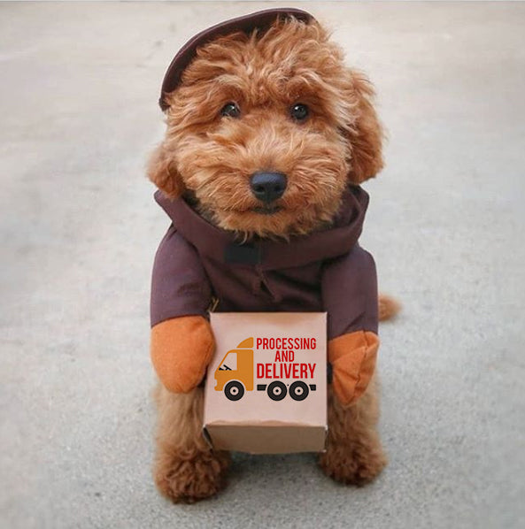 Processing & Shipping